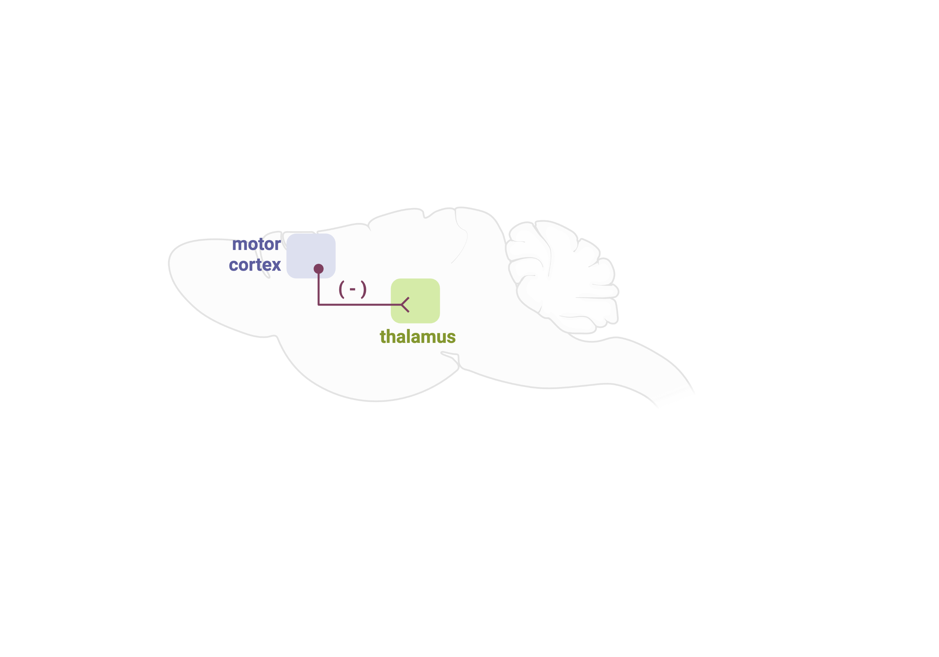 Lina Marcela Carmona research image 1