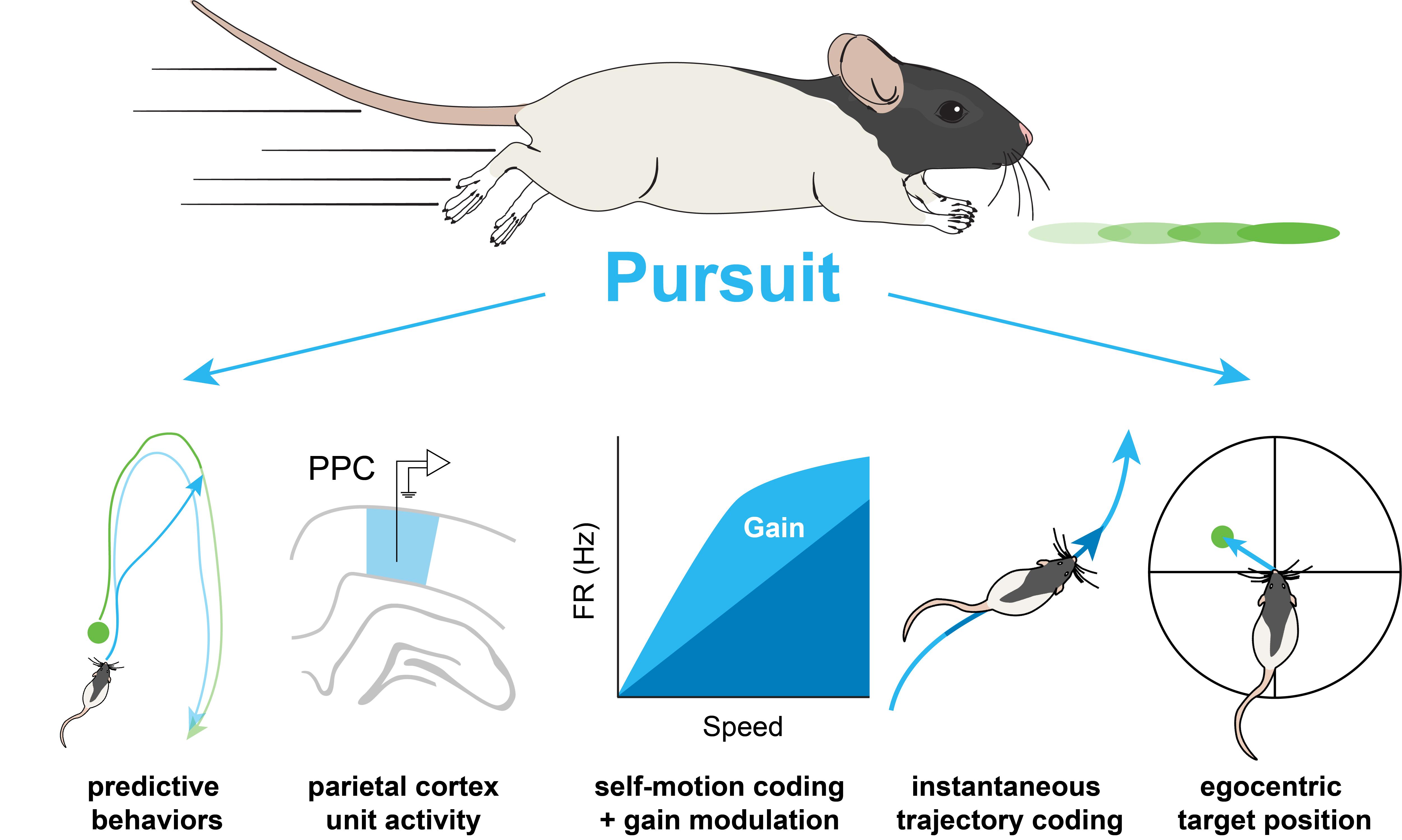 Andy Alexander research image 3 high res