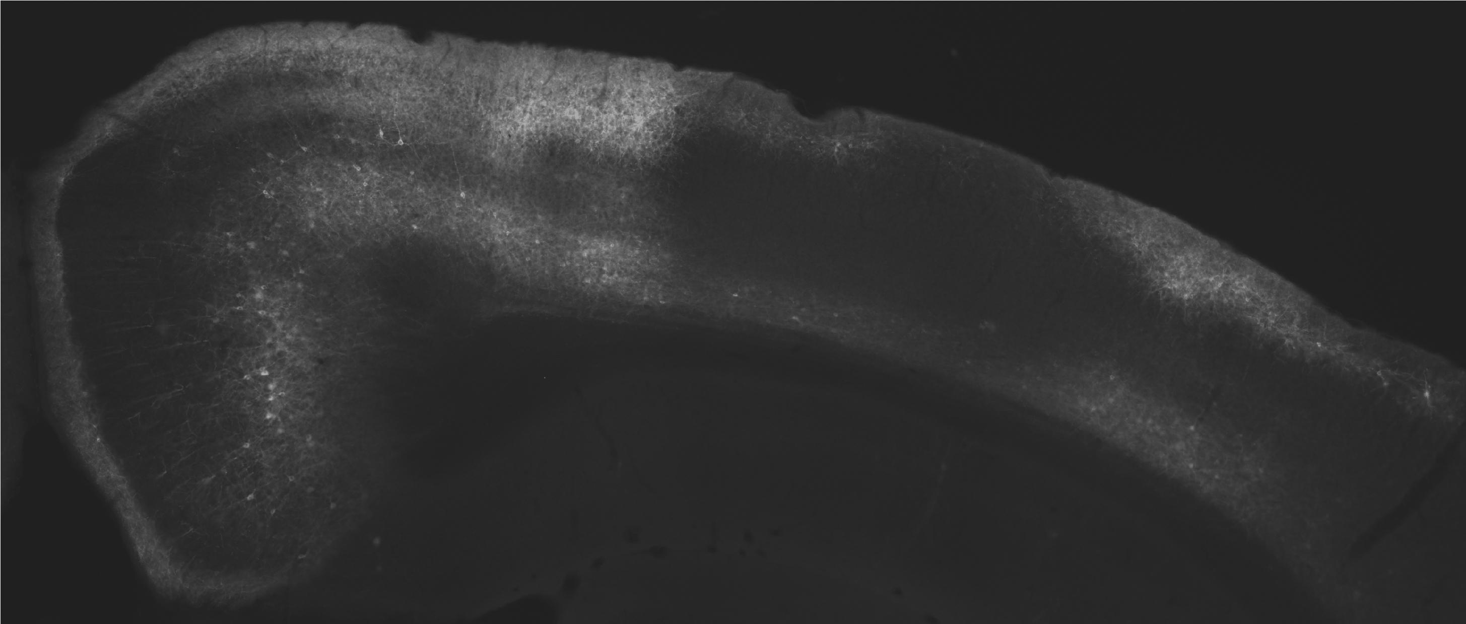 Andy Alexander research image 2 high res