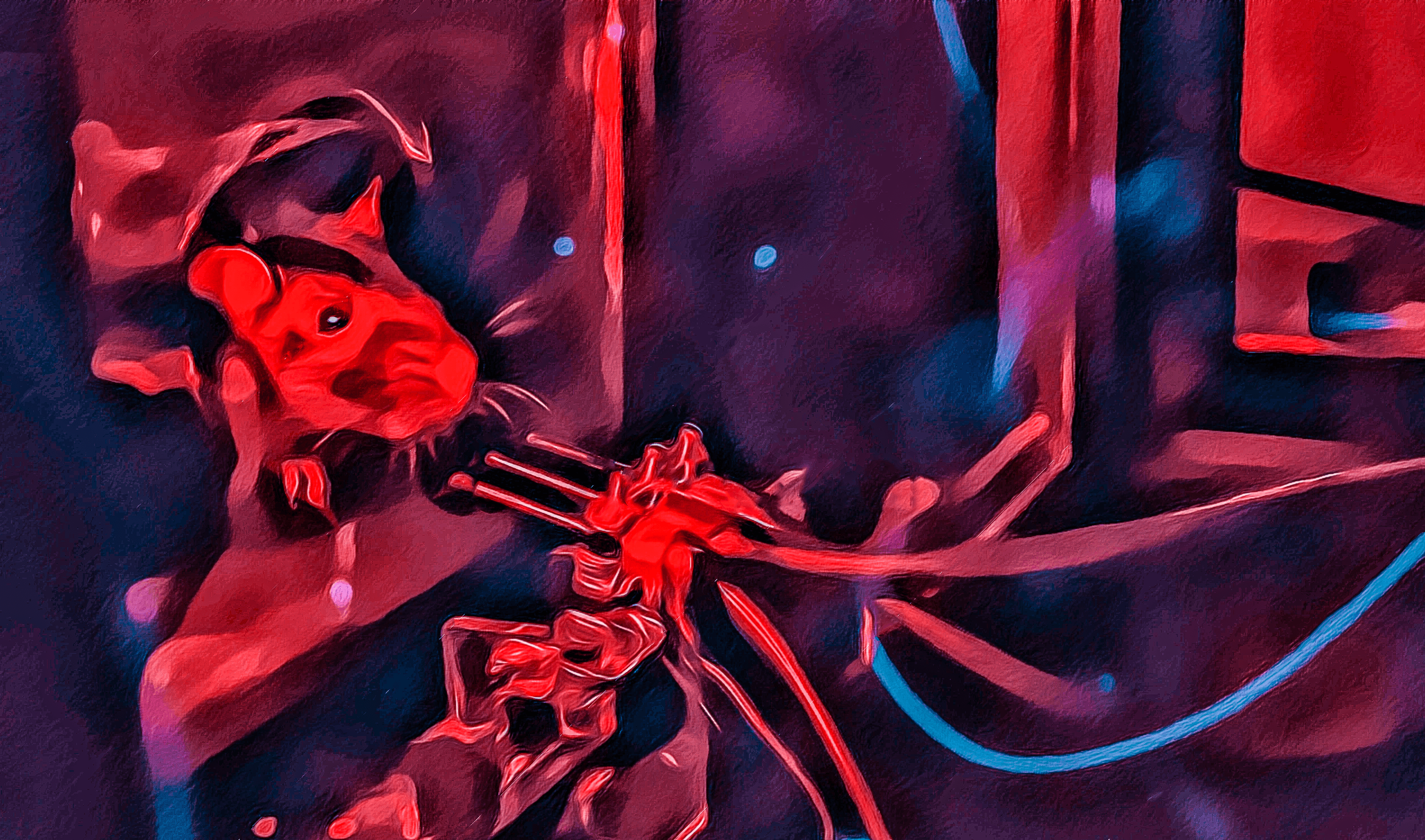 Masis Saxe eLife 2023