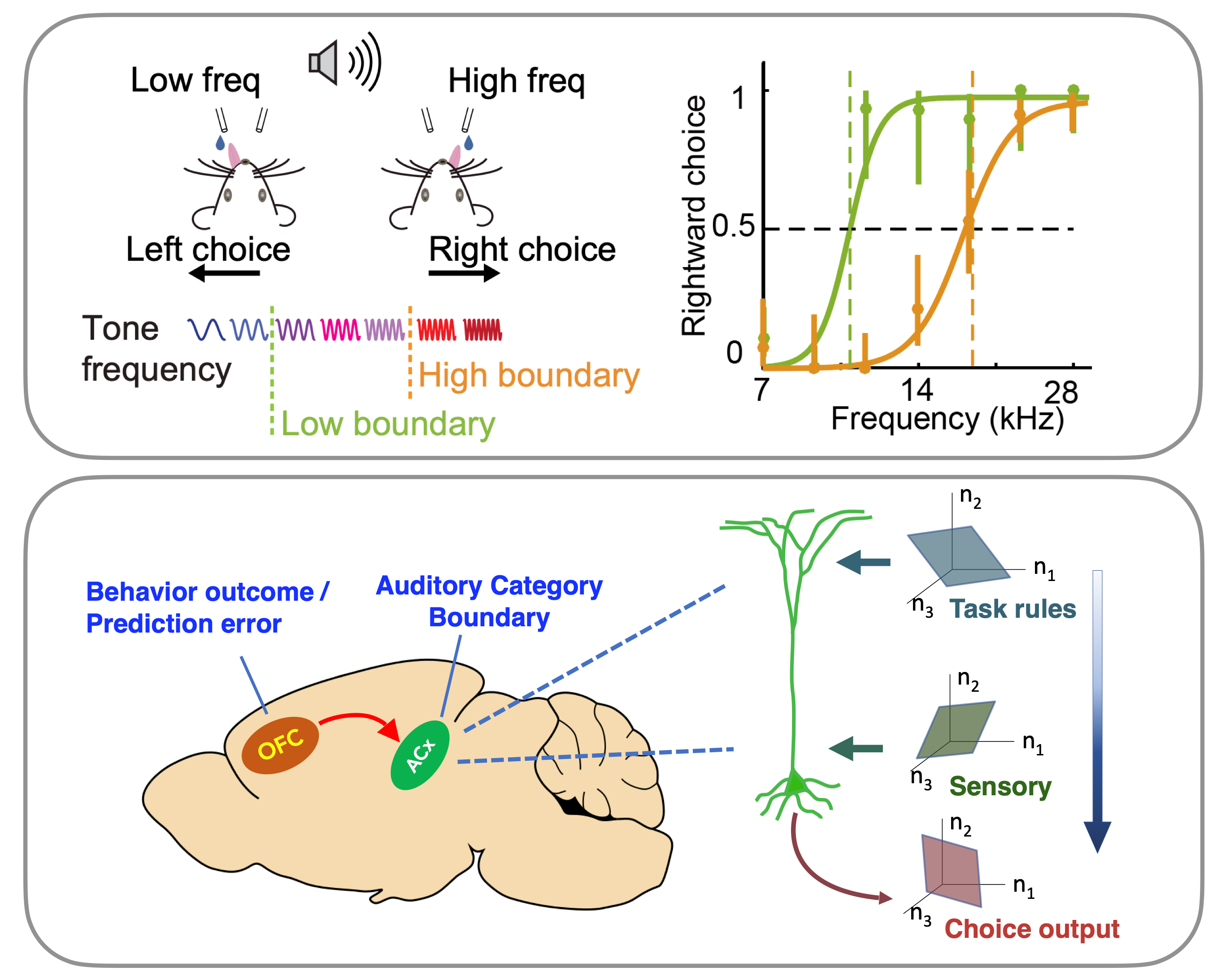 Ning-Long Xu research image
