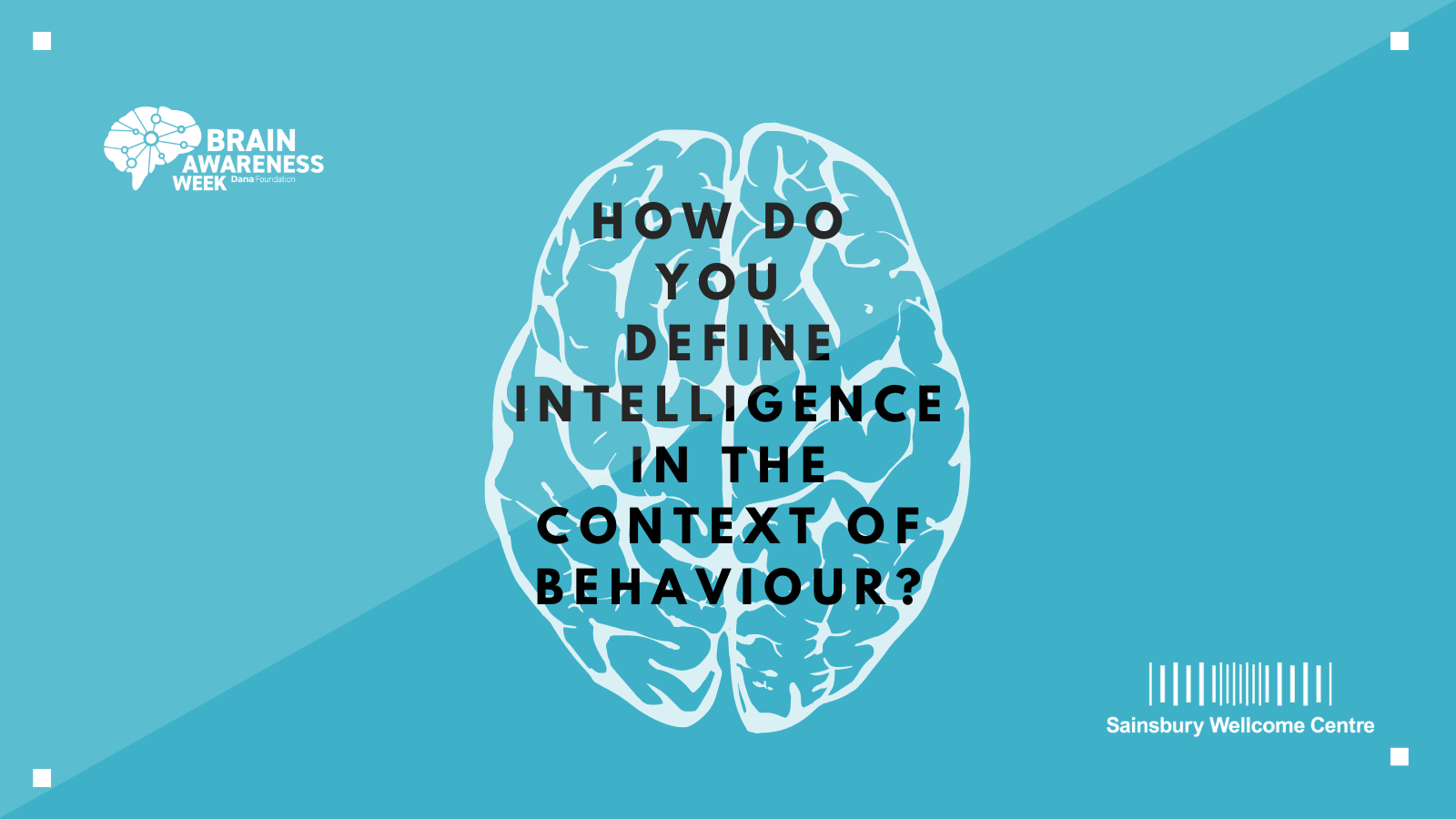 Brain awareness week 2023