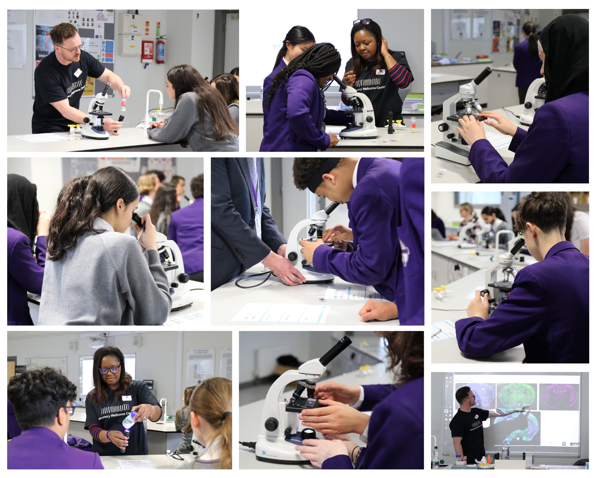 William Perkin 2023 Collage