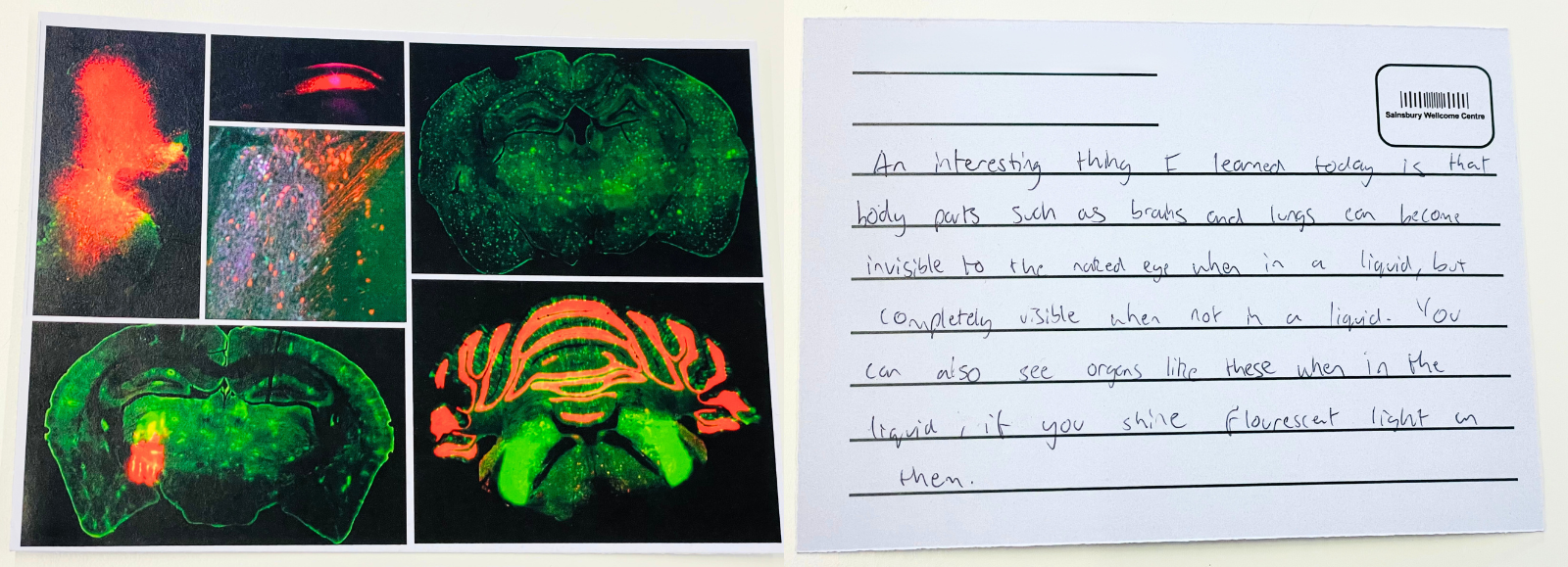 William Perkin postcards