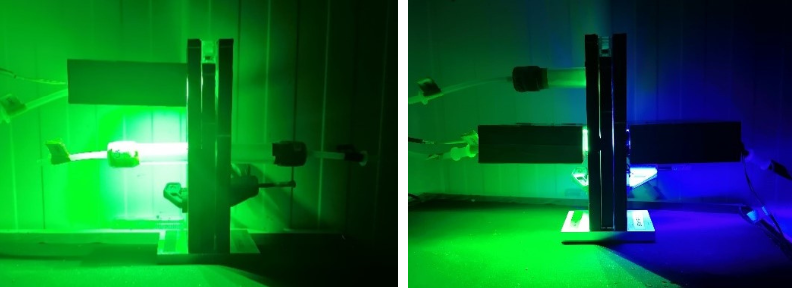 Zeynep Okray research image 2