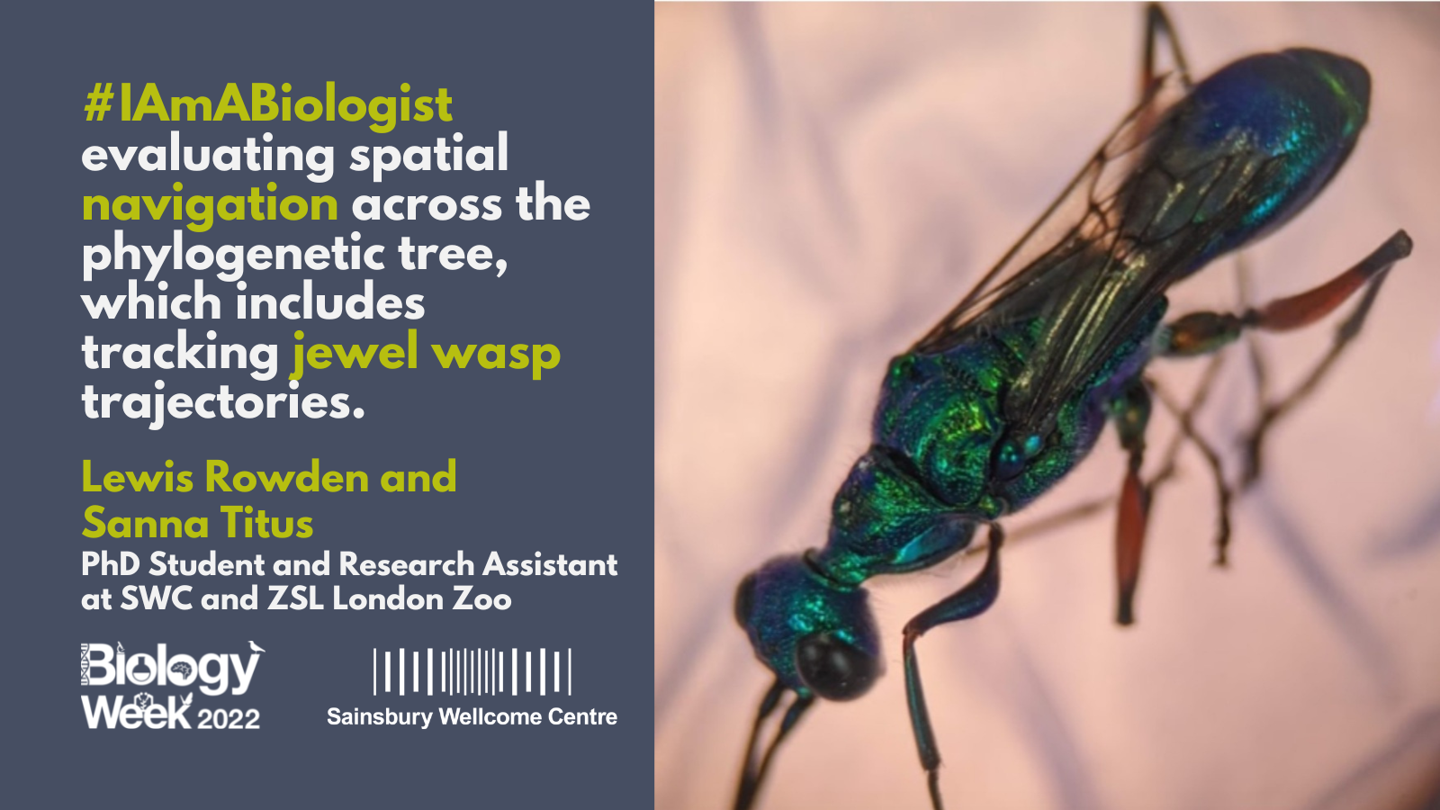 Lewis and Sanna #ImABiologist quote