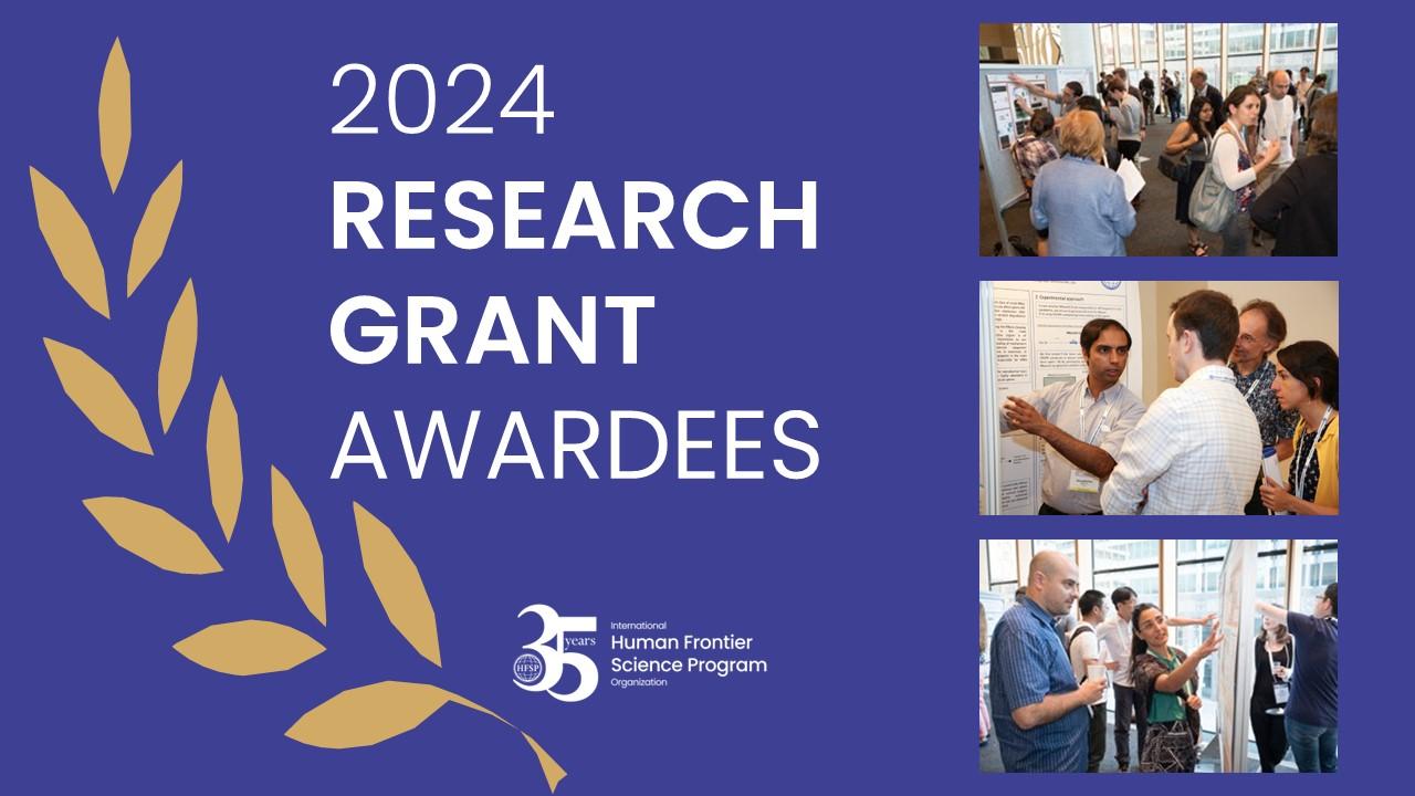 Graphic with text 2024 Research Grant Awardees and HFSP logo