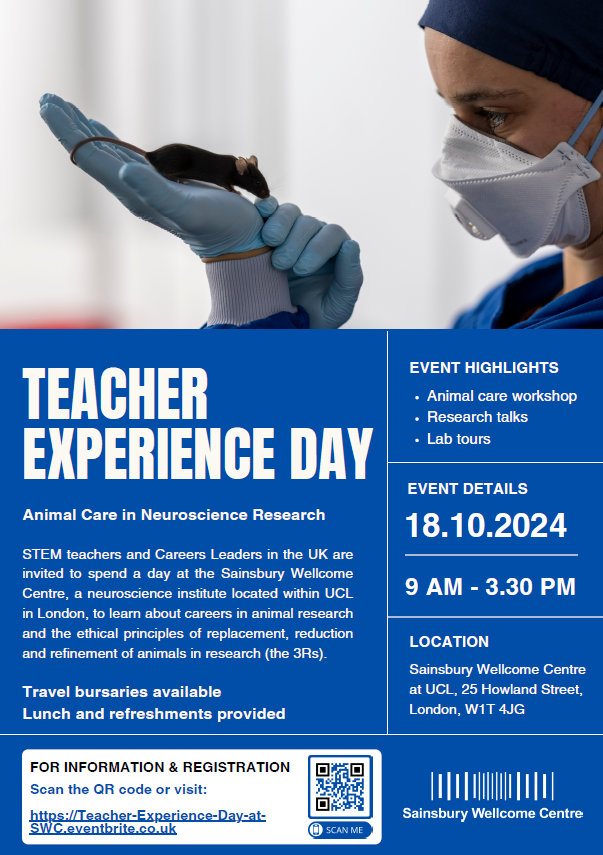 Teacher Experience Day poster