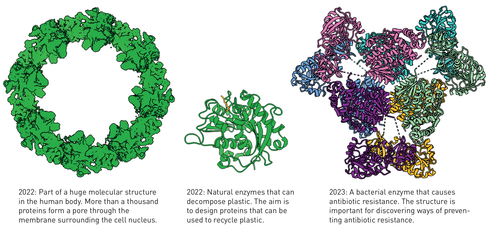 Illustration of three protein structures determined in 2022 and 2023. The first is part of a huge molecular structure in the human body, the second is a natural enzyme that can decompose plastic and the third is a bacterial enzyme that causes antibiotic resistance