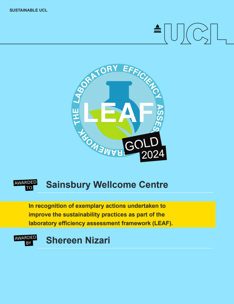 SWC Gold Leaf 2024 Certificate