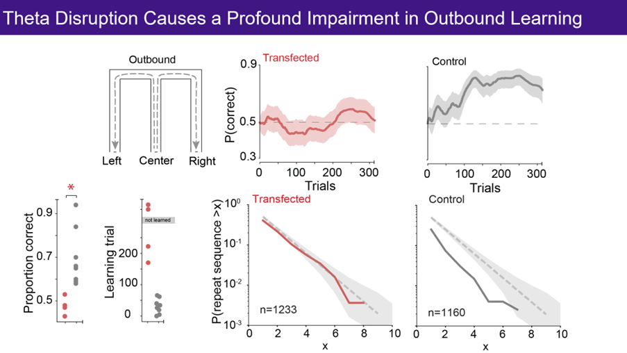 Diagram of graphs showing proportion correct and learning trials.