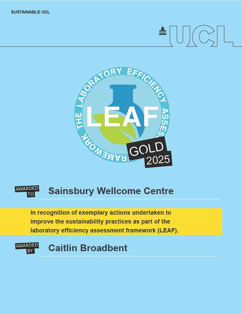 Gold LEAF certificate 2025