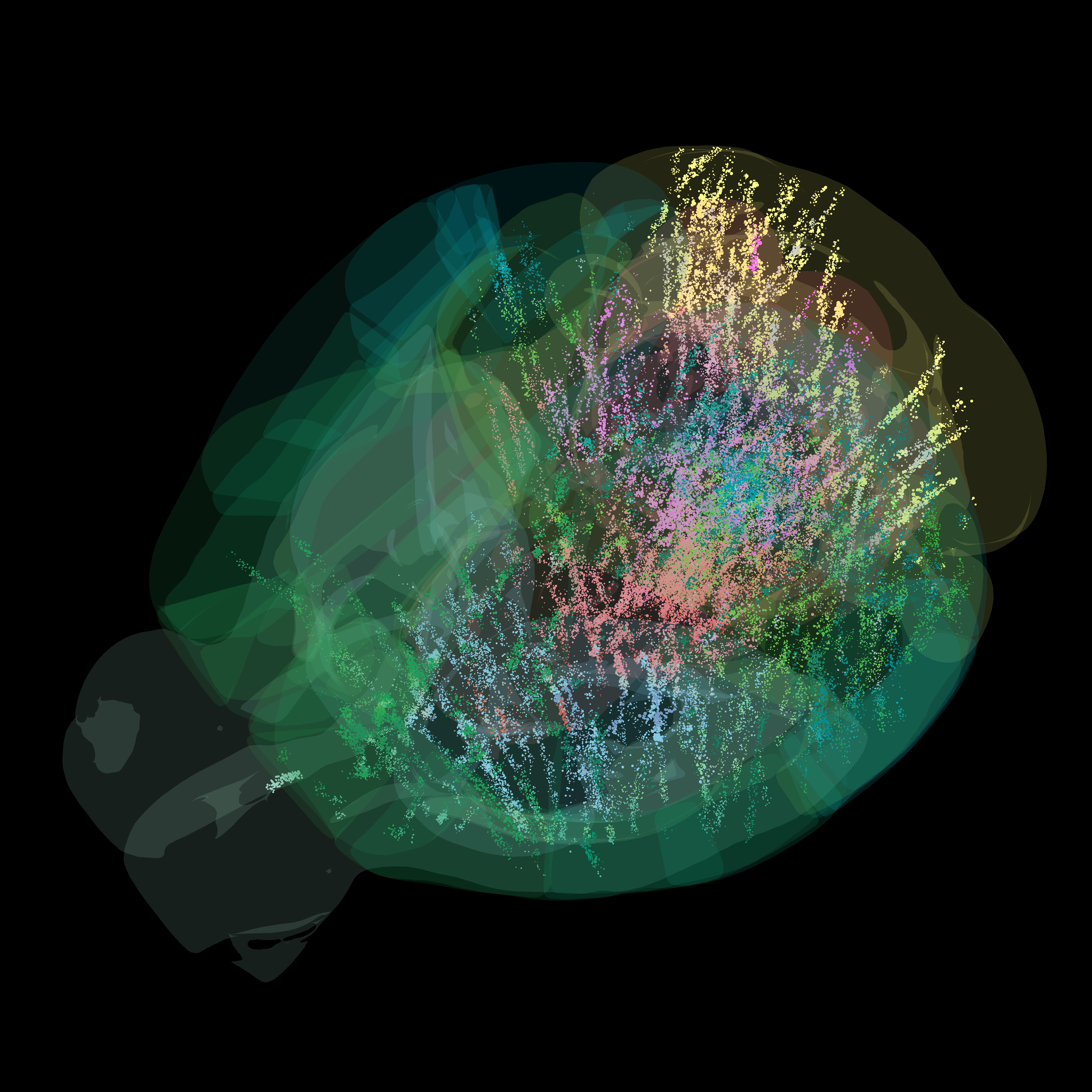 Brain-wide map showing 75,000 analysed neurons,  each dot is linearly scaled according to the raw average firing rate of that neuron up to a maximum size. Credit: Dan Birman, International Brain Laboratory