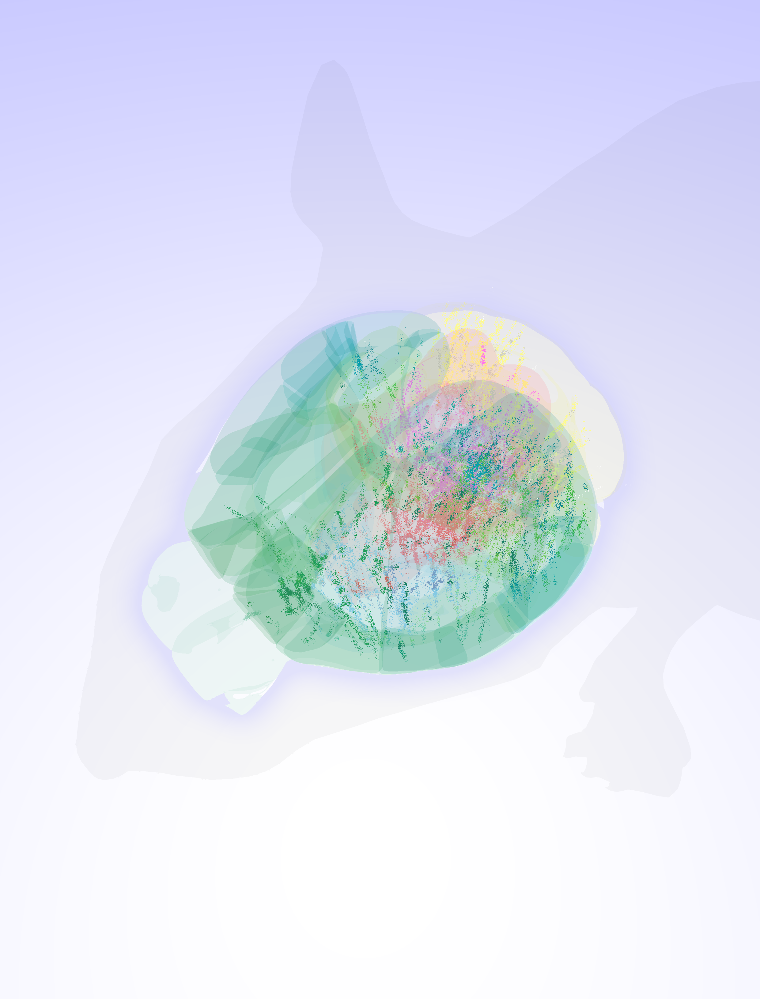 Outline of a mouse brain showing 75,000 analysed neurons,  each dot is linearly scaled according to the raw average firing rate of that neuron up to a maximum size. Credit: Dan Birman, International Brain Laboratory