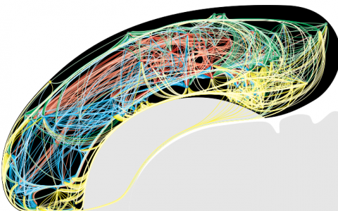 Larry Swanson research image