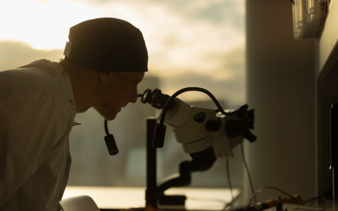 Scientist looking down a microscope symbolizing innovation