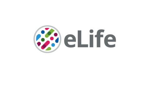 eLife logo