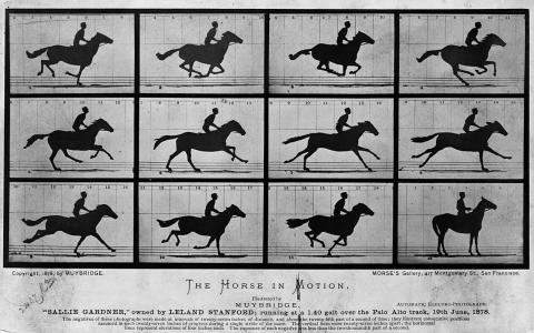 The Horse in Motion by Eadweard Muybridge. Noted photographer, Eadweard Muybridge was hired, in 1872, by Leland Stanford a railroad baron and future university founder, to find out if there was moment mid-stride where horses had all hooves off the ground. It took several years but Muybridge delivered having captured a horse, named "Sallie Gardner," owned by Stanford; running at a 1:40 gait over the Palo Alto track, on 19th June 1878. Muybridge used a Eadweard Muybridge, Public domain, via Wikimedia Commons