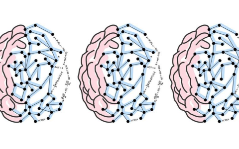 Simple graphic of brains, networks and equations
