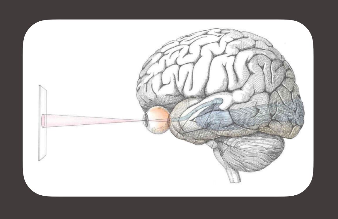 Vision brain