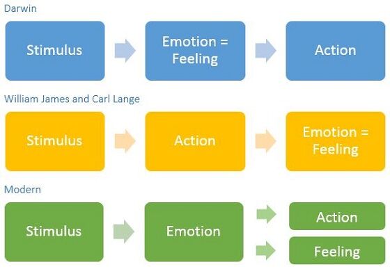 Darwin, James / Lange / Modern models of Stimulus / Emotions / Action / Feeling - Frans de Waal