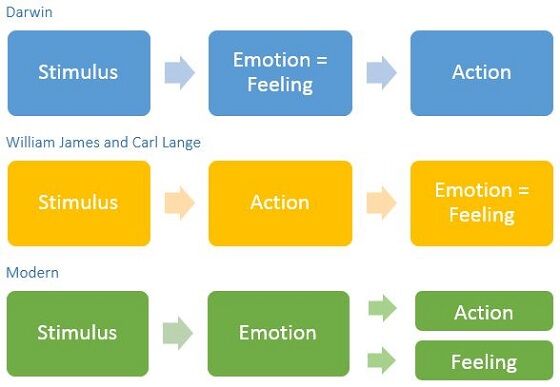 Darwin, James / Lange / Modern models of Stimulus / Emotions / Action / Feeling - Frans de Waal Darwin, James / Lange / Modern models of Stimulus / Emotions / Action / Feeling - Frans de Waal
