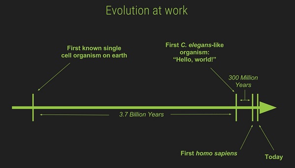 OpenWorm: evolution from first single-celled organism, via first C. elegans-like creature to homo sapiens and today