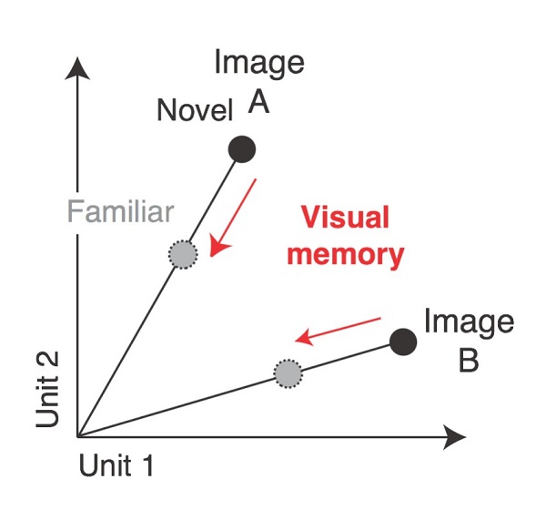 Schematic showing how familiarity affects remembering visual memories