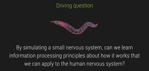 The driving question for the OpenWorm project