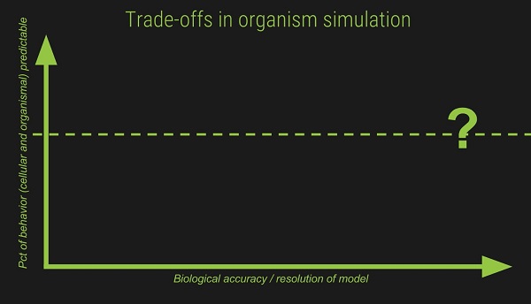 Graph plotting trade-offs in organism simulation: predictability vs. biological accuracy Graph plotting trade-offs in organism simulation: predictability vs. biological accuracy