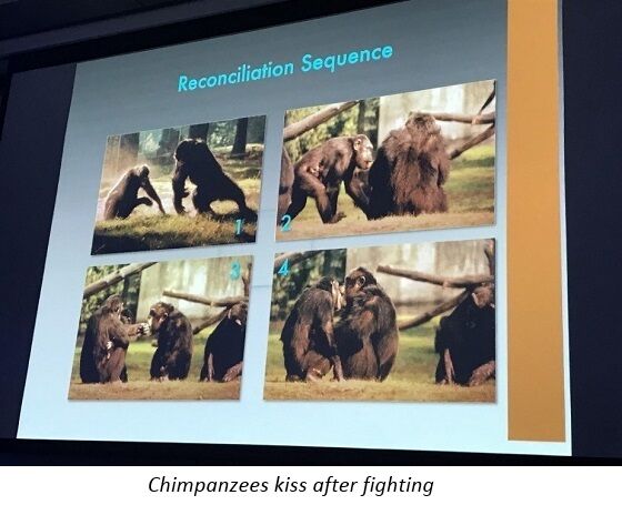Reconciliation Sequence in Chimpanzees - Frans de Waal Reconciliation Sequence in Chimpanzees - Frans de Waal