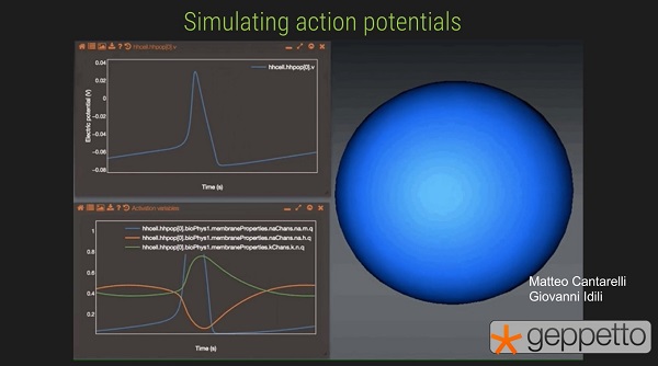 OpenWorm: Simulating action potentials