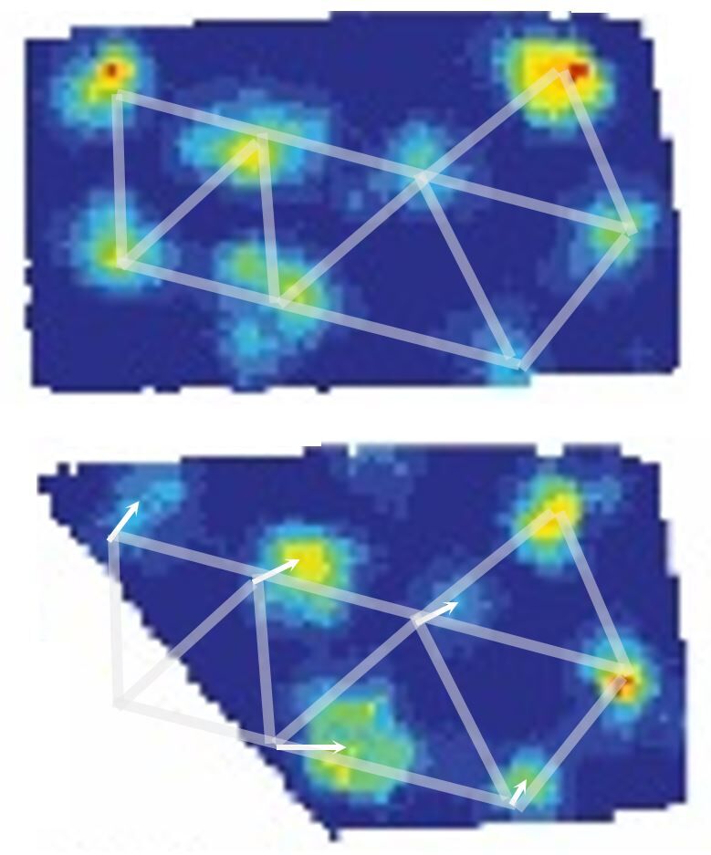 Grid maps An image of pseudo colour grid maps