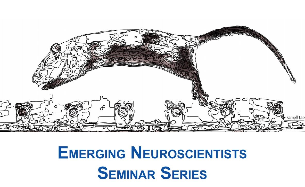 Emerging Neuroscientists Seminar Series Poster