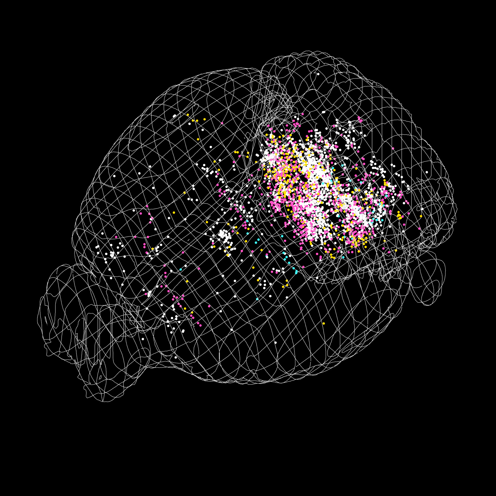 Neurons in mouse brain that directly innervate postural circuits