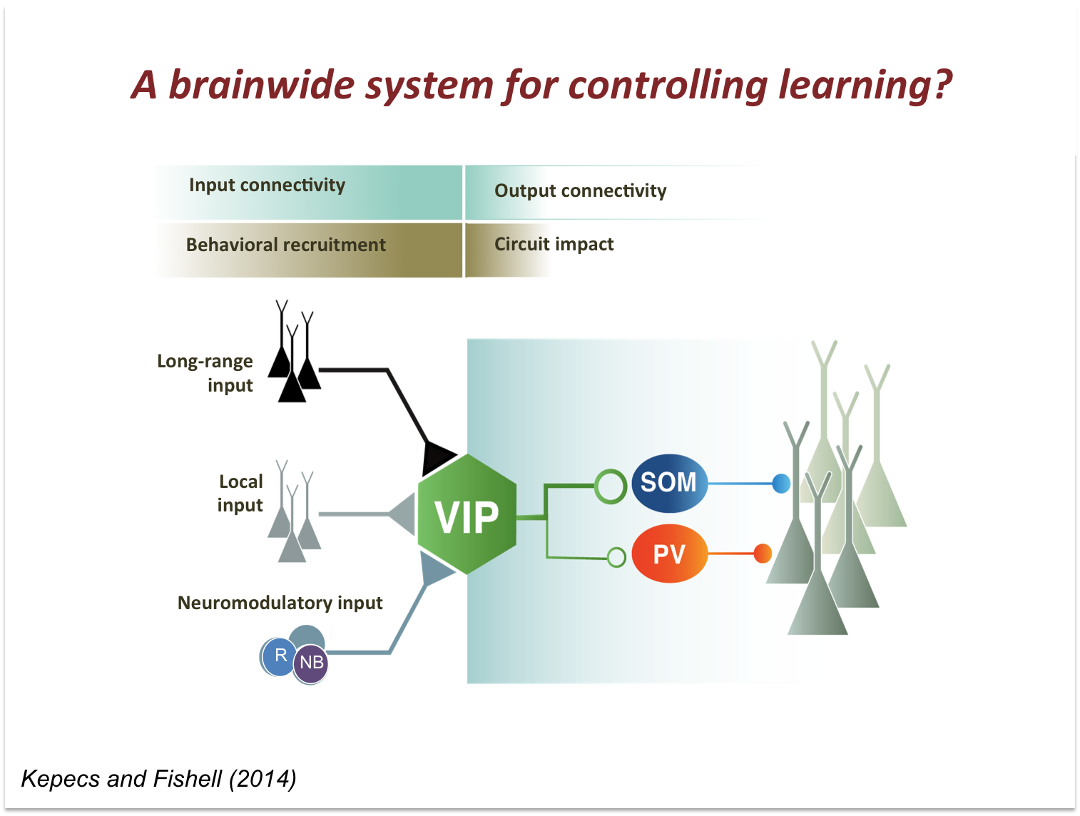 Brainwide system for controlling learning