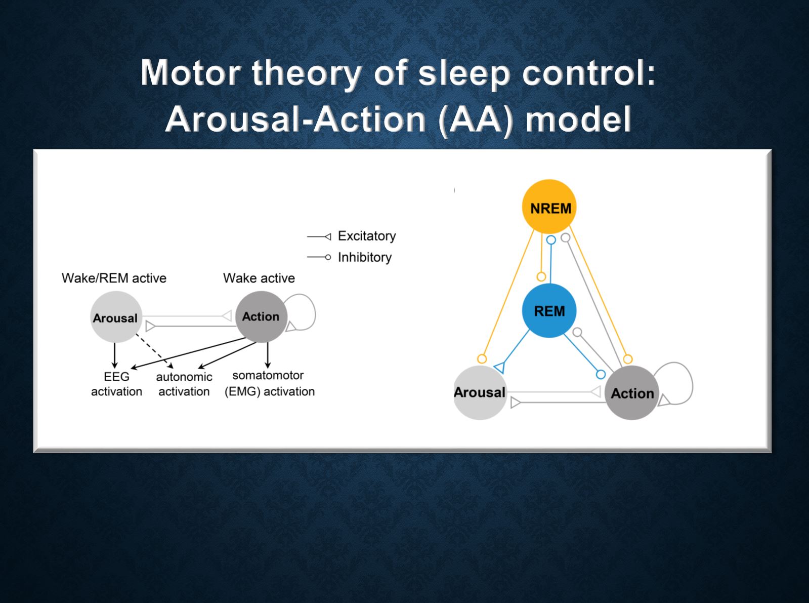 Motor theory of sleep control Arousal-Action model