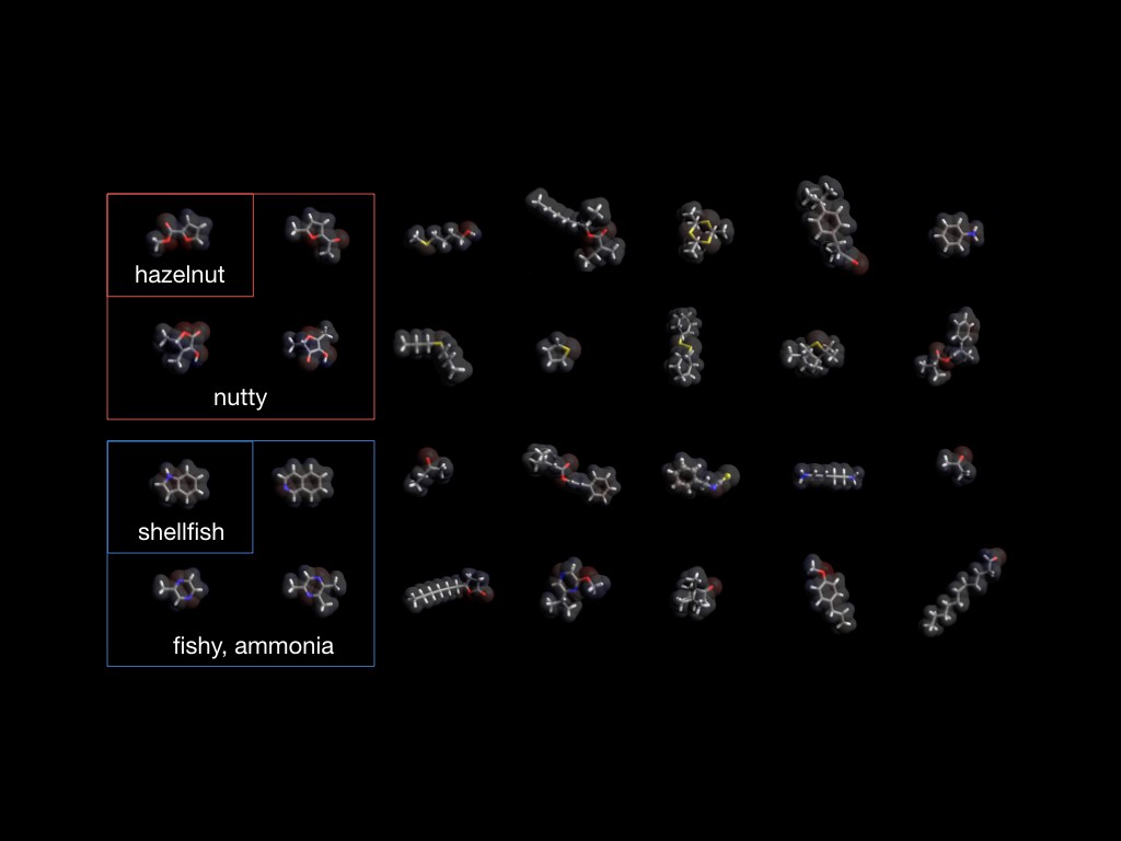 Odour molecules