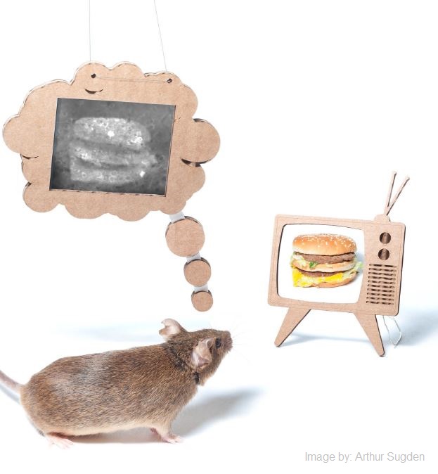 Mouse looking at burger on TV