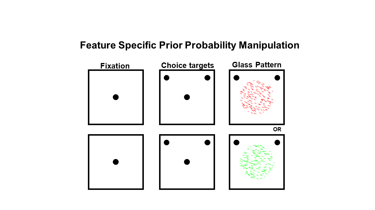 Screen showing the task given to subjects (titled "Feature Specific Prior Probability Manipulation")