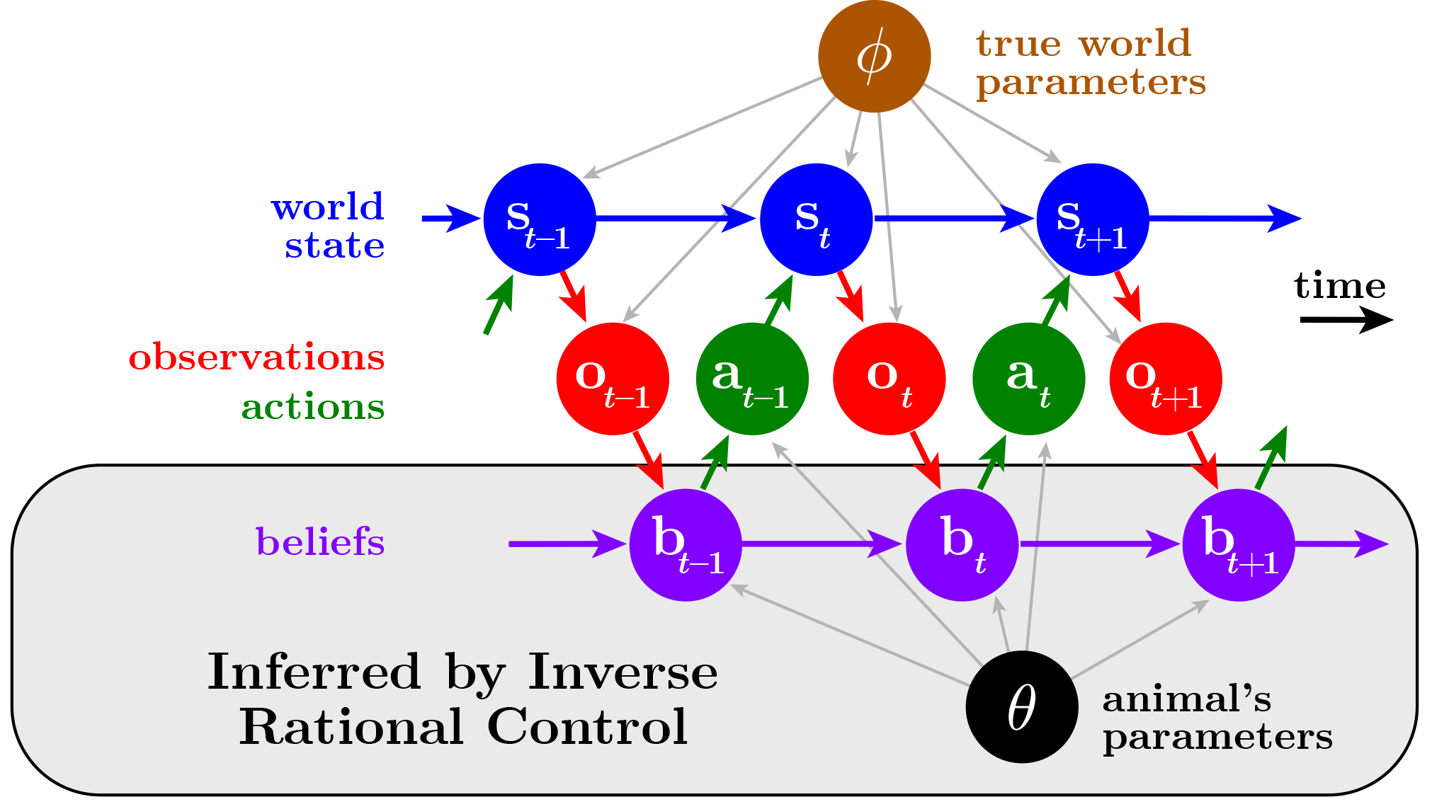 Schematic of Inverse Rational Control model