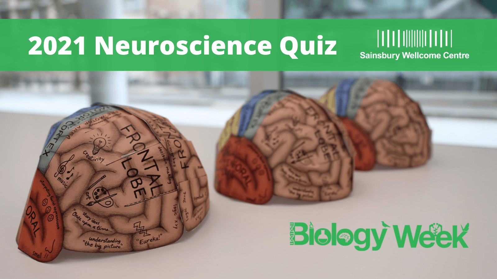 Neuroscience Quiz Biology Week