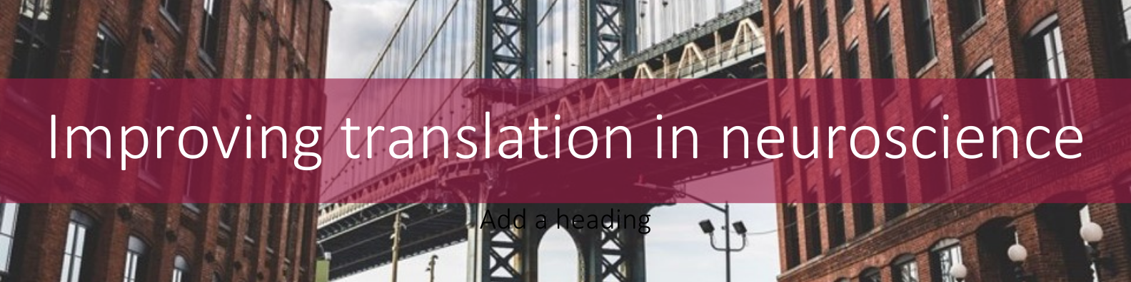 Bridge photo with text overlaid: improving translation in neuroscience