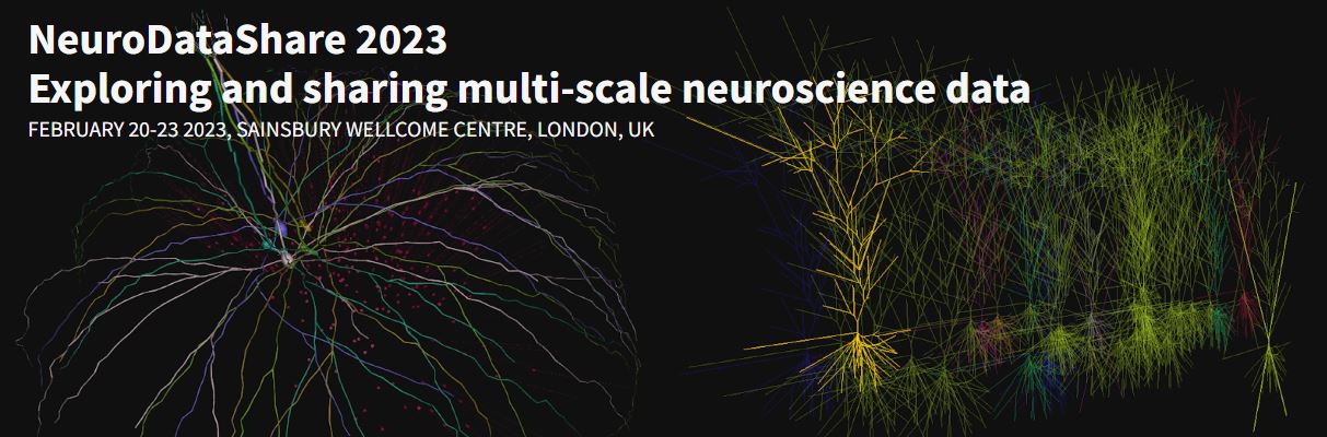 Picture of neurons with text overlaid NeuroDataShare 2023 Exploring and sharing multi-scale neuroscience data Febraury 20-23, 2023, Sainsbury Wellcome Centre, London, UK