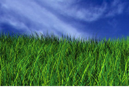 This image has been removed. For security reasons, only images from the local domain are allowed. Image removed.