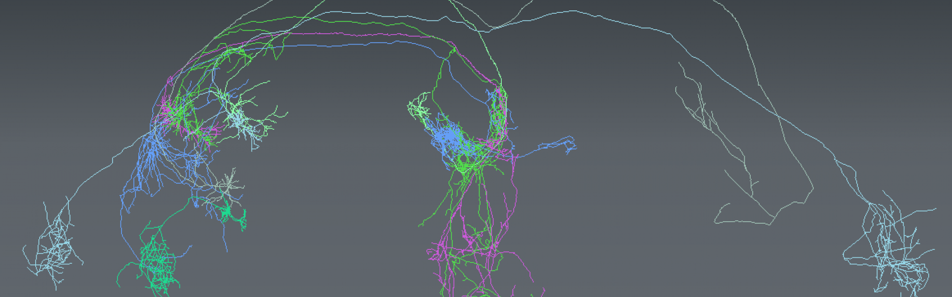 3D neurons