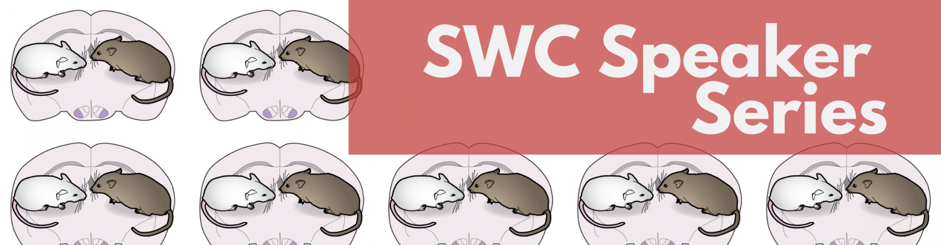 Illustration of brains and two rodents with text overlaid "SWC Speaker Series"