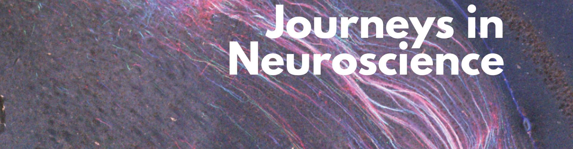 Journeys in Neuroscience Blog Banner