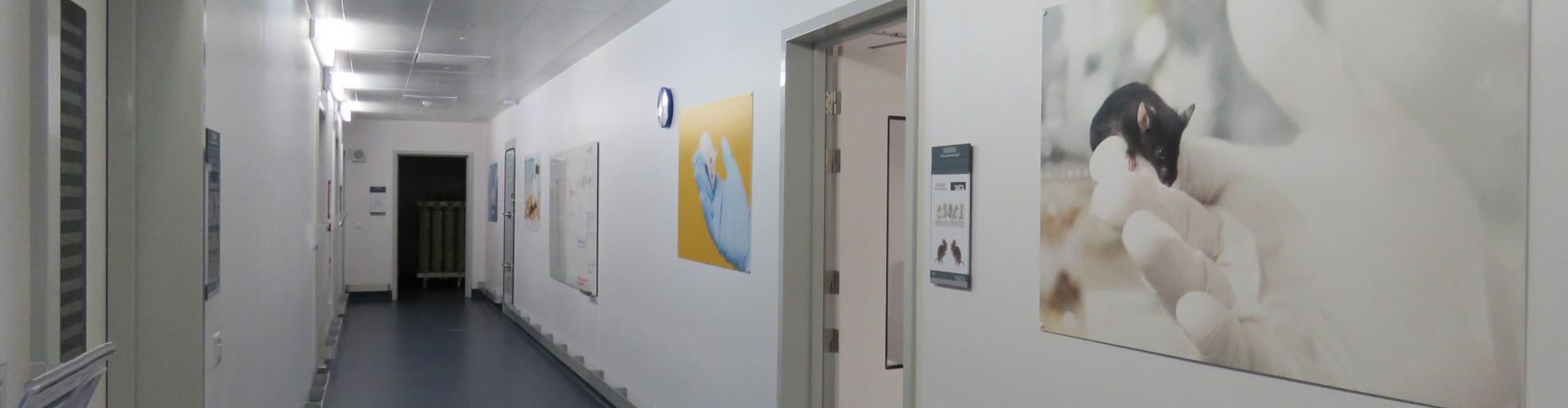Corridor in NRF with animal photos on the walls