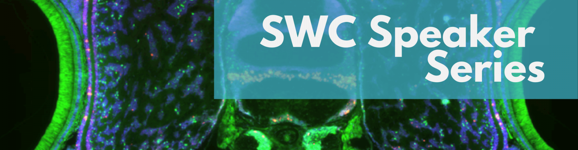 SWC Speaker series - Dr Cris Niell - Blog Banner